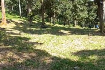 Freehold Agri Land rm 30persqft in Selangor 