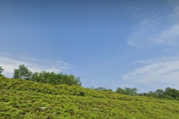 Freehold agri land industrial zoning facing main road For Sale!