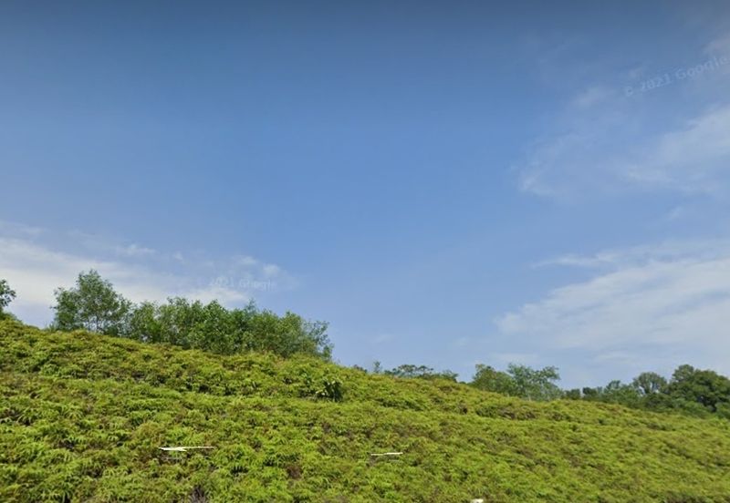 Freehold agri land industrial zoning facing main road For Sale!