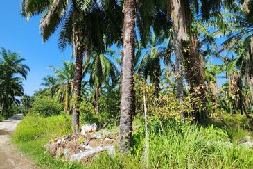 sell under bank value Freehold Seremban Agri land For Sale!