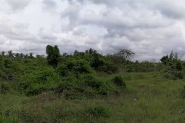 Freehold agri FLAT land 10acres at Kapar for sale