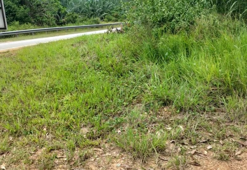 Perak Freehold agri land at Kuala Kangsar Perak for sale!!