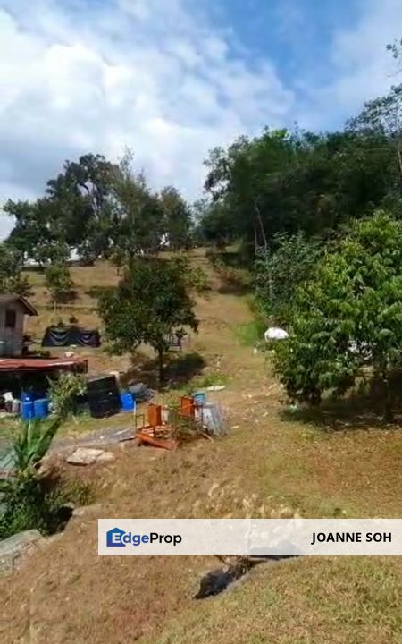 Tapah 11acres agriculture land with Durian for sale, Perak, Tapah