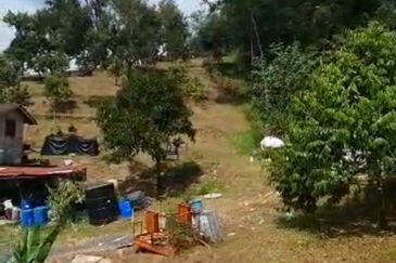 Tapah 11acres agriculture land with Durian for sale
