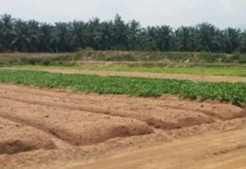 Industrial land converted with premium paid at Serendah, selangorfor sale