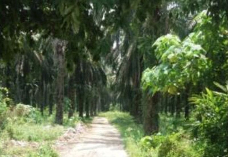 Industrial land converted with premium paid at Serendah, selangorfor sale