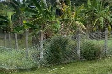 Alor Gajah Agriculture land For Sale!