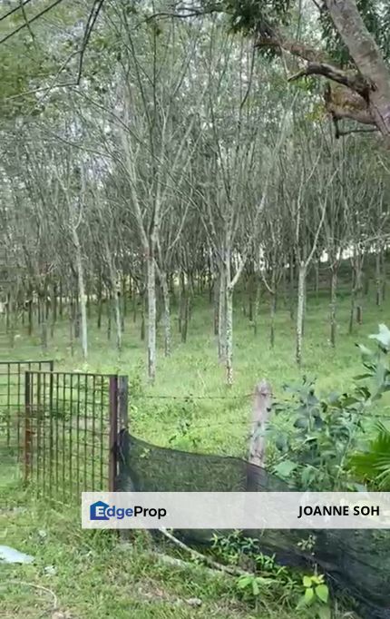 Agriculture land at Alor Gajah Melaka For Sale!, Melaka, Alor Gajah
