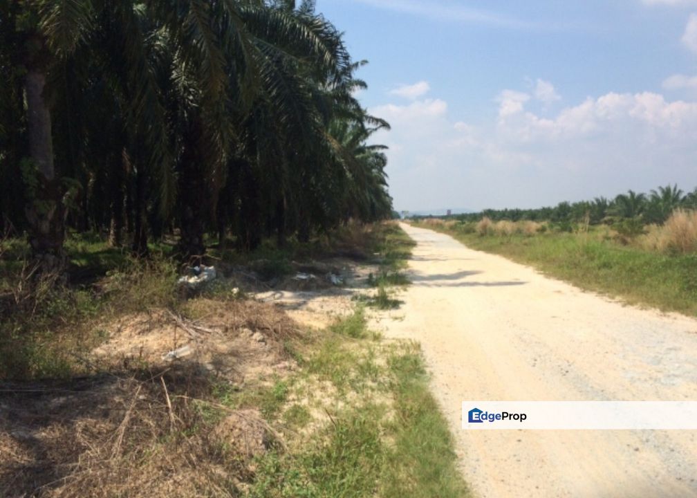 Agriculture land in Residencial zoning for sale , Selangor, Banting