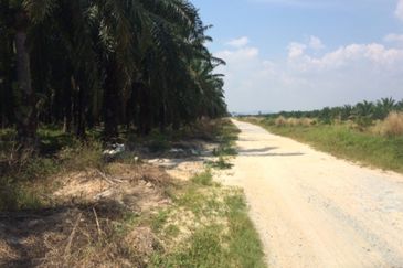 Agriculture land in Residencial zoning for sale 