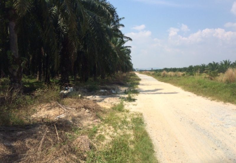 Agriculture land in Residencial zoning for sale 