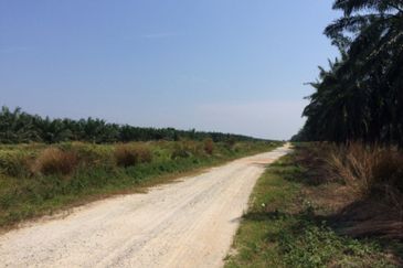 Agriculture land in Residencial zoning for sale 