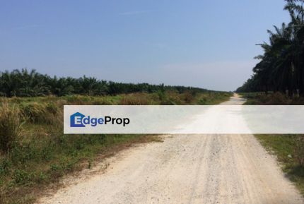 Agriculture land in Residencial zoning for sale , Selangor, Banting