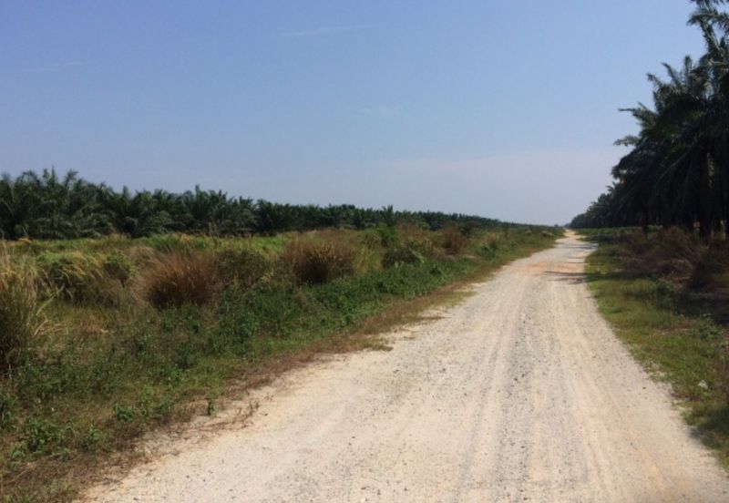 Agriculture land in Residencial zoning for sale 