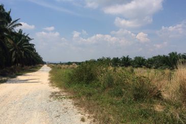 Agriculture land in Residencial zoning for sale 