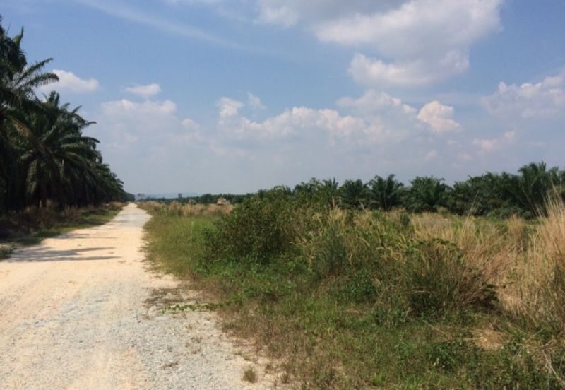 Agriculture land in Residencial zoning for sale 