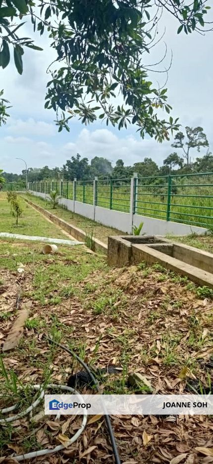 Freehold agriculture land 5min to Lekas highway, Negeri Sembilan, Seremban