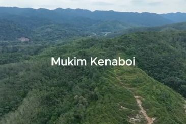 Freehold agriculture land at Jelebu for sale