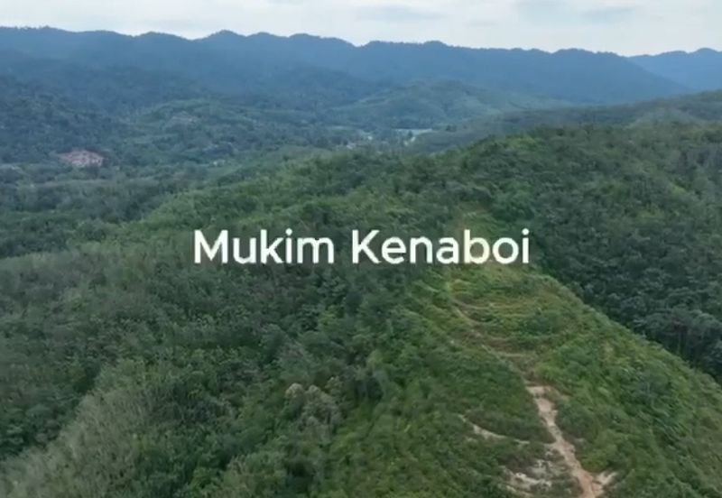 Freehold agriculture land at Jelebu for sale