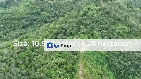 Freehold agriculture land at Jelebu for sale, Negeri Sembilan, Jelebu