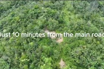 Freehold agriculture land at Jelebu for sale