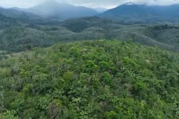 Freehold agriculture land at Jelebu for sale