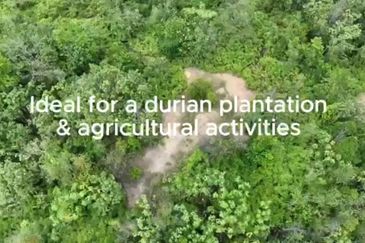 Freehold agriculture land at Jelebu for sale