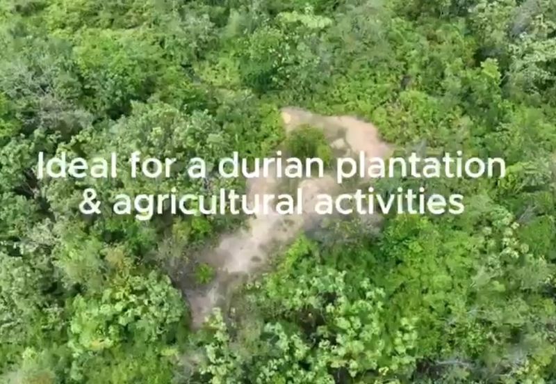 Freehold agriculture land at Jelebu for sale