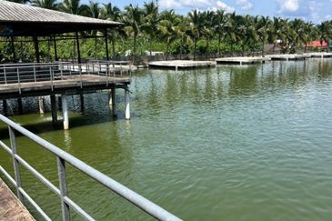 Kerling agriculture land 60acres for sale