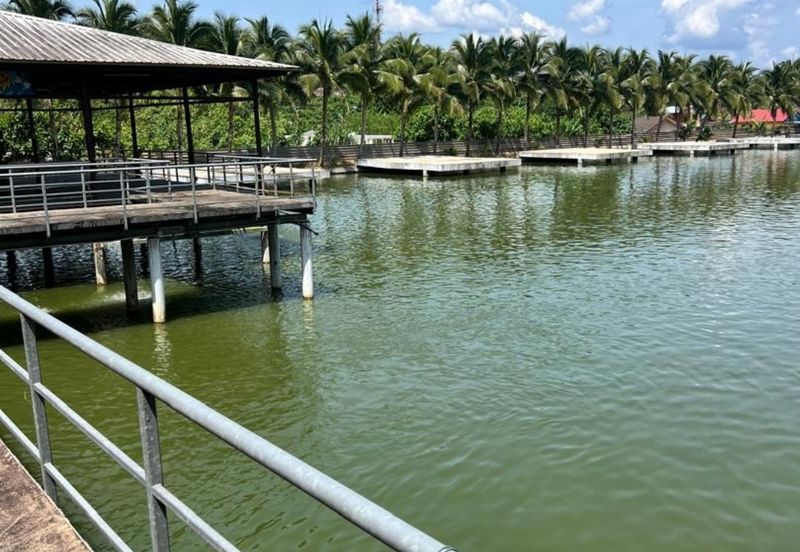 Kerling agriculture land 60acres for sale