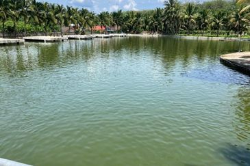 Kerling agriculture land 60acres for sale