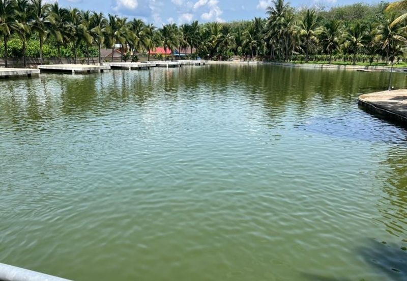 Kerling agriculture land 60acres for sale