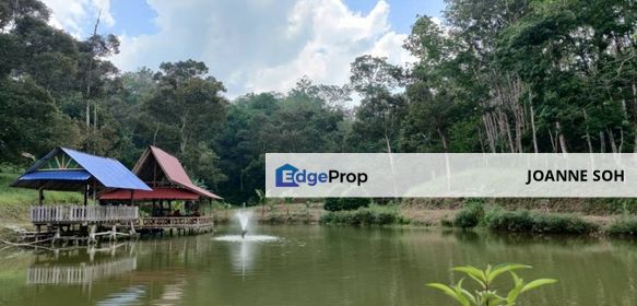 Hulu langat Agriculture land at Selangor for sale, Selangor, Hulu Langat