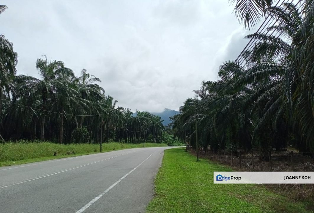 Agriculture land @Taiping 580acres for sale, Perak, Taiping