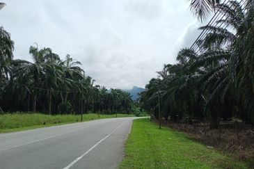 Agriculture Land @ Taiping