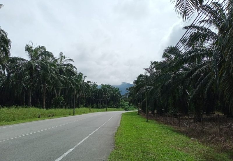 Agriculture Land @ Taiping