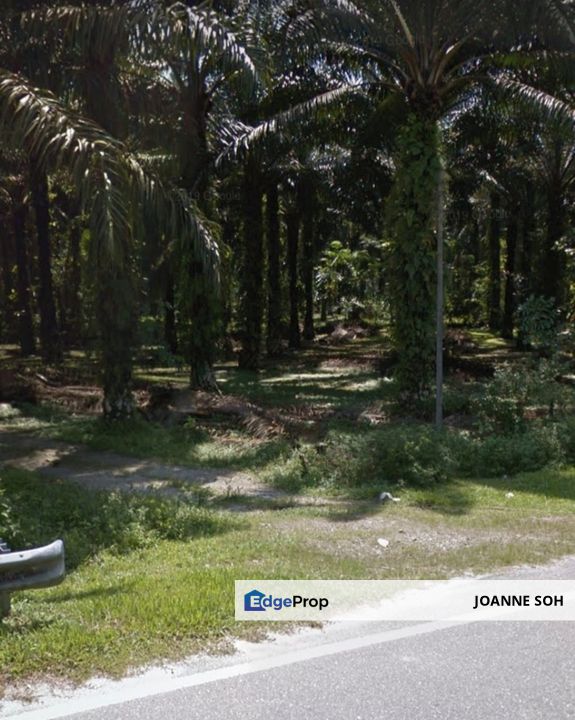 Taman kampar,ipoh,perak agriculture land 10acres freehold facing mainroad for sale!, Perak, Ipoh