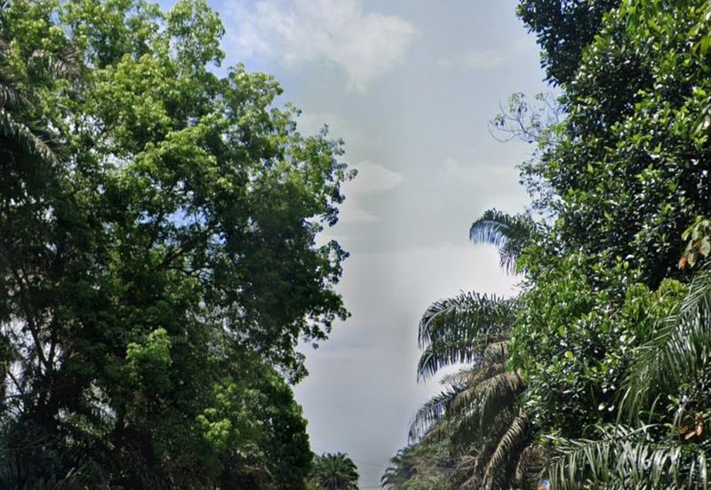 agri land 18.649acres at perak for sale!