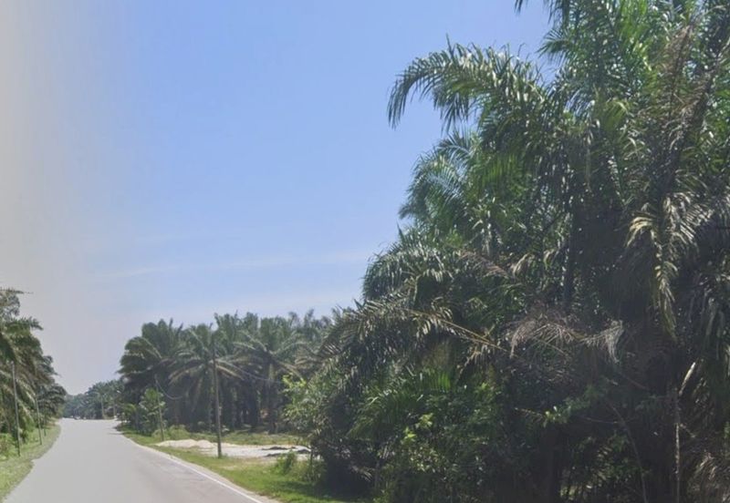 agri land 18.649acres at perak for sale!