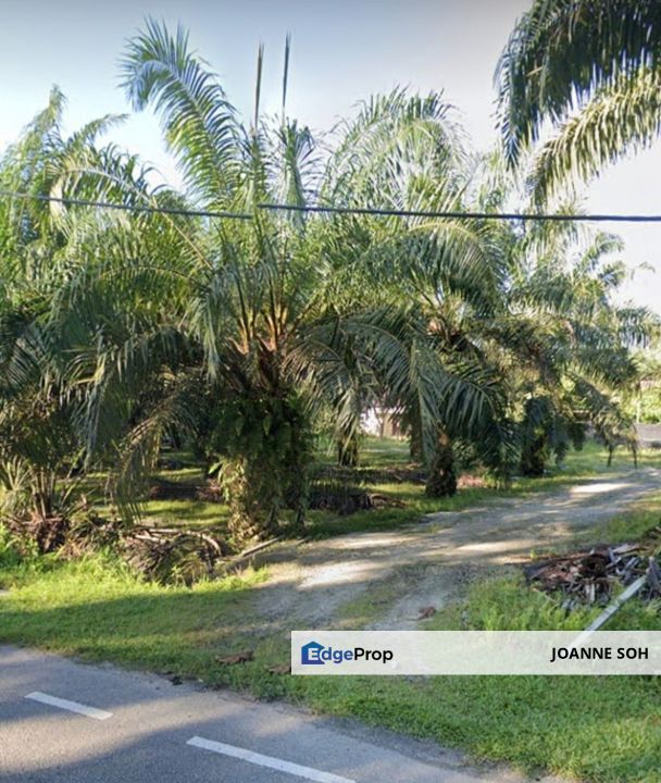 Bandar baru kampar perak agri land 95.11acres for sale!, Perak, Kampar
