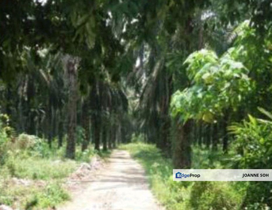 Serendah near bandar antara gapi industrial land for sale, Selangor, Batang Kali