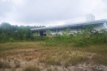 2 or 4 acres Industrial land, Freehold 