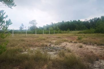 2 or 4 acres Industrial land, Freehold 