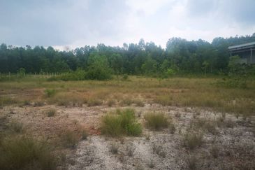 2 or 4 acres Industrial land, Freehold 