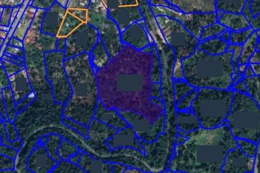 Balik Pulau Pulau Pinang Agriculture land for sale