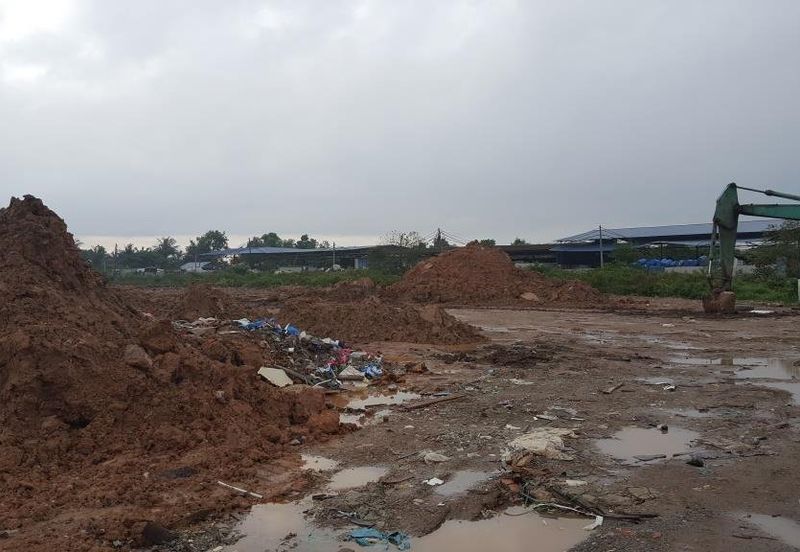 REVOLUSI HIJAU JOHAN SETIA