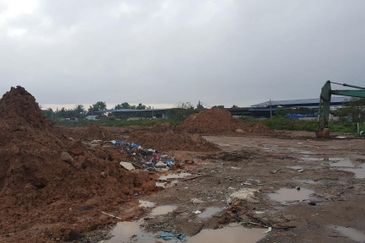 REVOLUSI HIJAU JOHAN SETIA