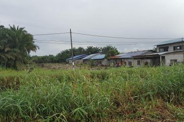 REVOLUSI HIJAU JOHAN SETIA