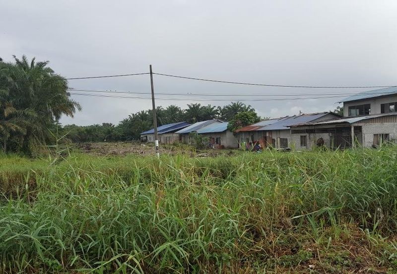 REVOLUSI HIJAU JOHAN SETIA