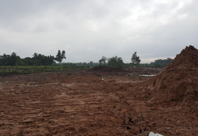 REVOLUSI HIJAU JOHAN SETIA